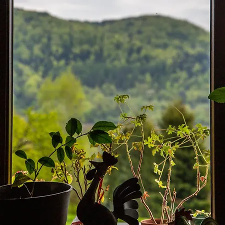 Barnilka House 펜션